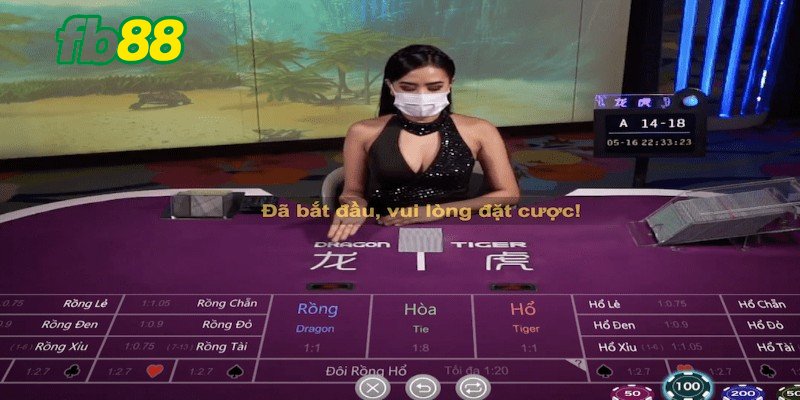 3 hình thức cược Rồng hổ