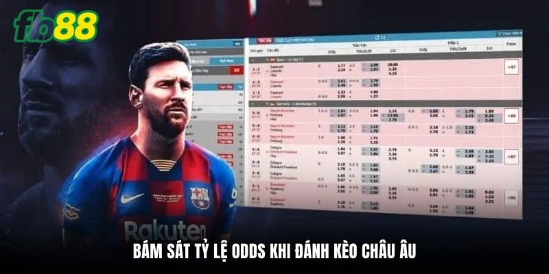 Bám sát tỷ lệ Odds khi đánh kèo châu Âu