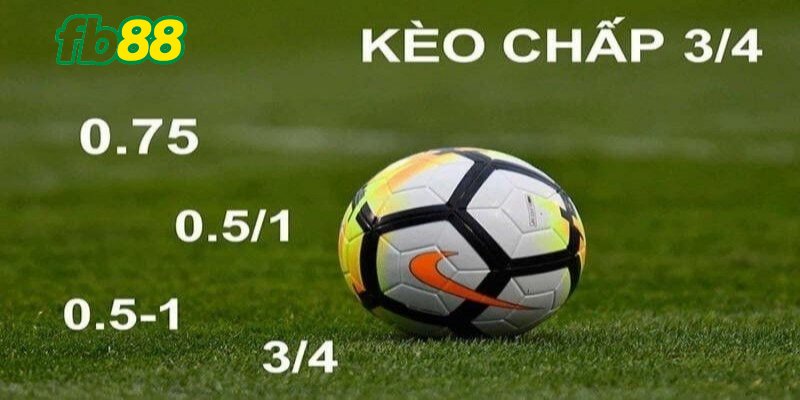 Những tỷ lệ chấp bạn cần biết