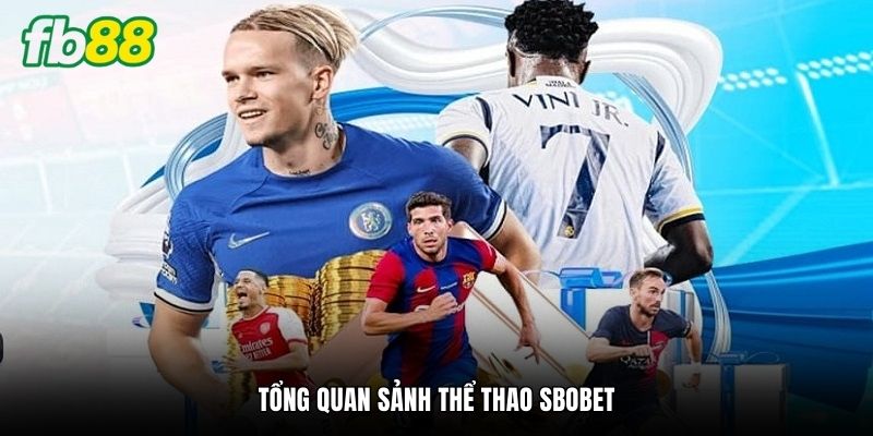 Tổng quan sảnh thể thao Sbobet
