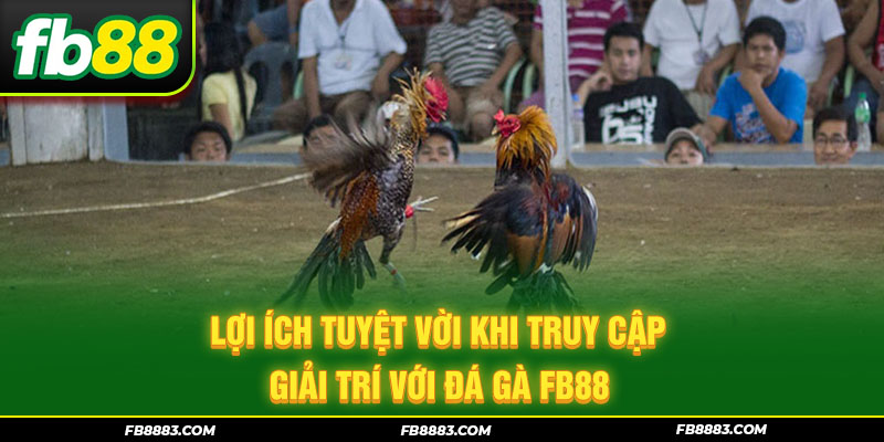 Lợi ích tuyệt vời khi truy cập giải trí với đá gà FB88