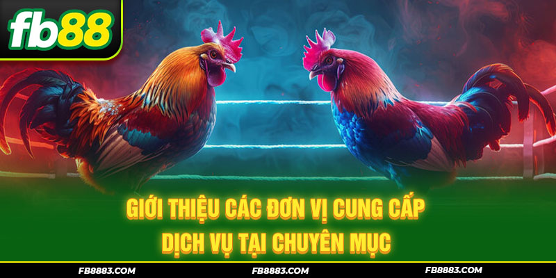 Giới thiệu các đơn vị cung cấp dịch vụ tại chuyên mục