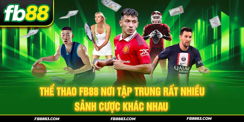 Thể thao FB88 nơi tập trung rất nhiều sảnh cược khác nhau